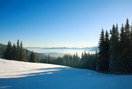 高山上的早晨的冬天的风景, 天空的雪森林