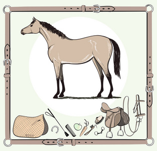马缰鞍马镫刷钻头线束马鞭马具设备.