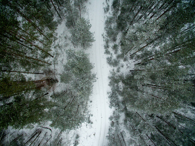 冬季森林和道路。 从上面看。 这张照片是用无人机拍摄的。 松树和云杉林，雪中有一条路。