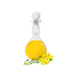 保健品产品玻璃瓶菜籽油, 有机保健品卡通矢量插画照片