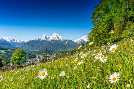 美丽的风景全景在巴法力亚阿尔卑斯与著名 Watzmann 山在背景在春天, 国家 Berchtesgadener 土地, 巴伐利