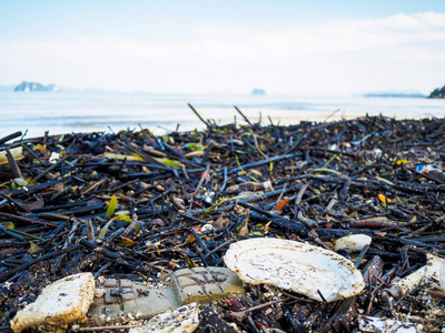 垃圾在海滩上的环境污染的海洋概念。