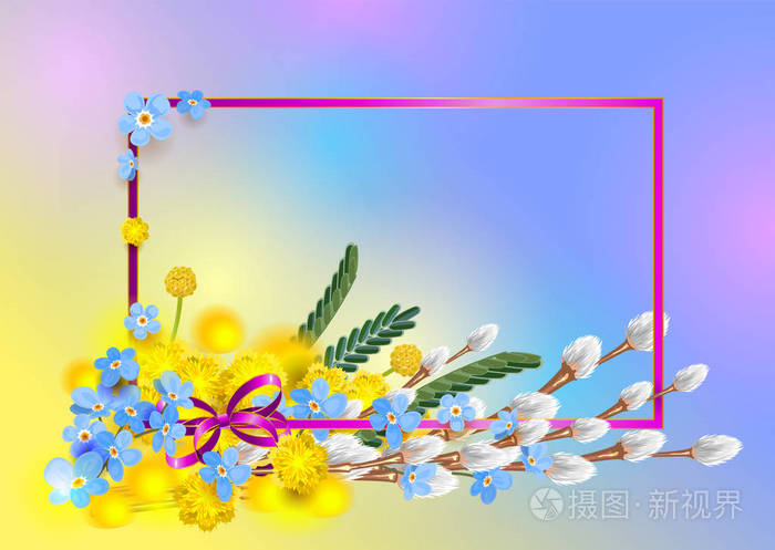 花束蓝色忘记我 不是 黄色含羞草和蓬松柳分支 框架明信片季节春天插画 正版商用图片1159wd 摄图新视界