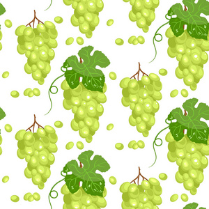 绿色葡萄的无缝背景。 矢量图。