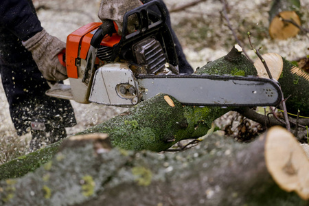 砍树刀图片-砍树刀素材-砍树刀插画-摄图新视界