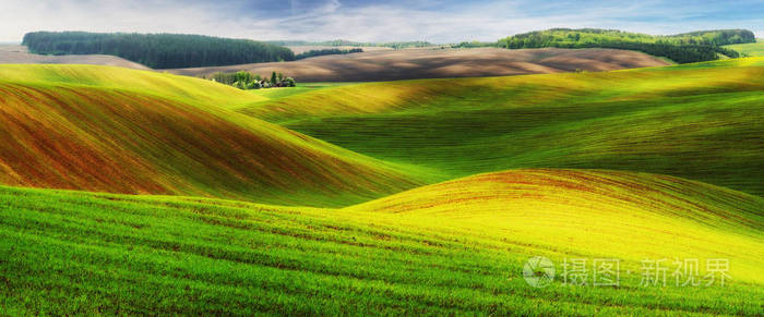 春天的田野风景如画的丘陵田春季农业领域