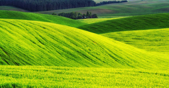 春天的田野图片