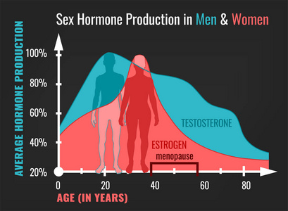 女性和男性的雌激素下降照片