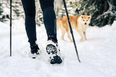 女背包客与秋田狗在白色的冬天森林徒步旅行。腿和靴子徒步旅行。在大自然的户外休闲健身和健康的生活方式。动机和励志冬季景观..