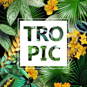 热带花卉的矢量横幅和热带花卉的叶子插图，用于水疗设计异国旅行度假娱乐T恤衫印刷