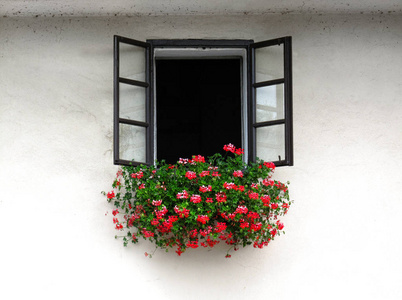开窗装饰着美丽的天竺葵花