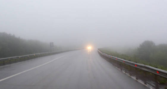 有雾和能见度低的乡村道路上的汽车