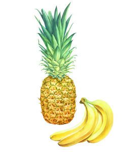 白色背景的菠萝和香蕉
