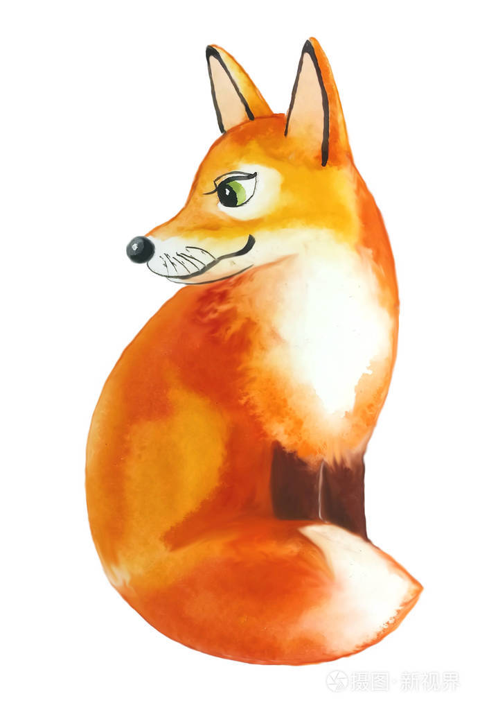 水彩画插图一只可爱的毛茸茸的红狐狸坐在左边,饶有兴致地检查了一下