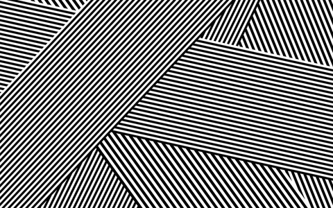 斑马图案黑白条纹矢量图片