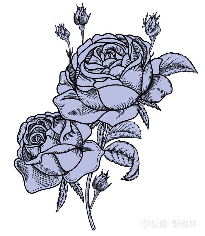 花叶的矢量插图非常详细的花卉素描风格高雅的花卉装饰
