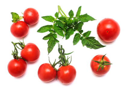 番茄收集整体和切片与一支番茄叶分离在白色背景。 美味健康的食物。 平躺式顶部视图