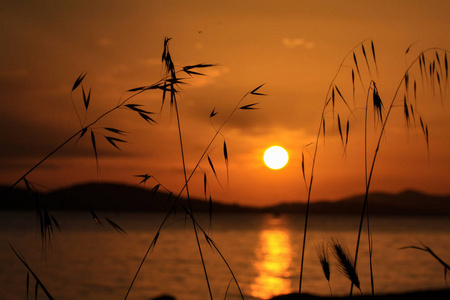 亚得里亚海的夏季景观日落