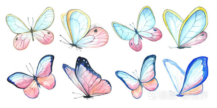 飞行的蝴蝶集合幅水彩画