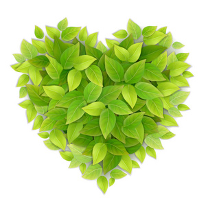 心形象征绿叶照片