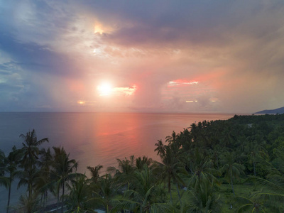 从无人驾驶飞机在棕榈树和大海在日落。巴厘岛。印度尼西亚