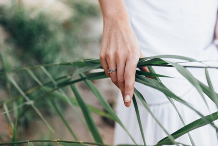 s hand holds on to a twig of grass. on girl39