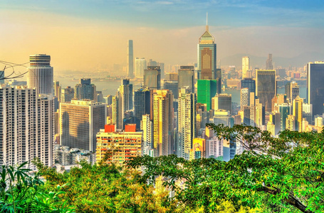从太平山顶香港的城市天际线图片