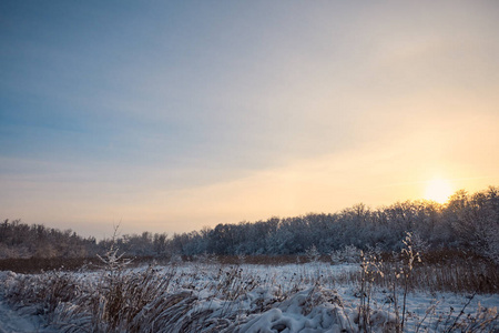 clearin 白雪覆盖森林的美丽冬季景观