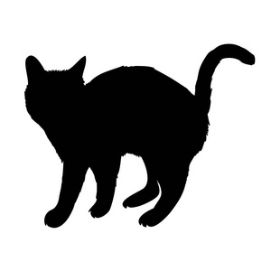 猫坐在白色 backg 的黑色剪影
