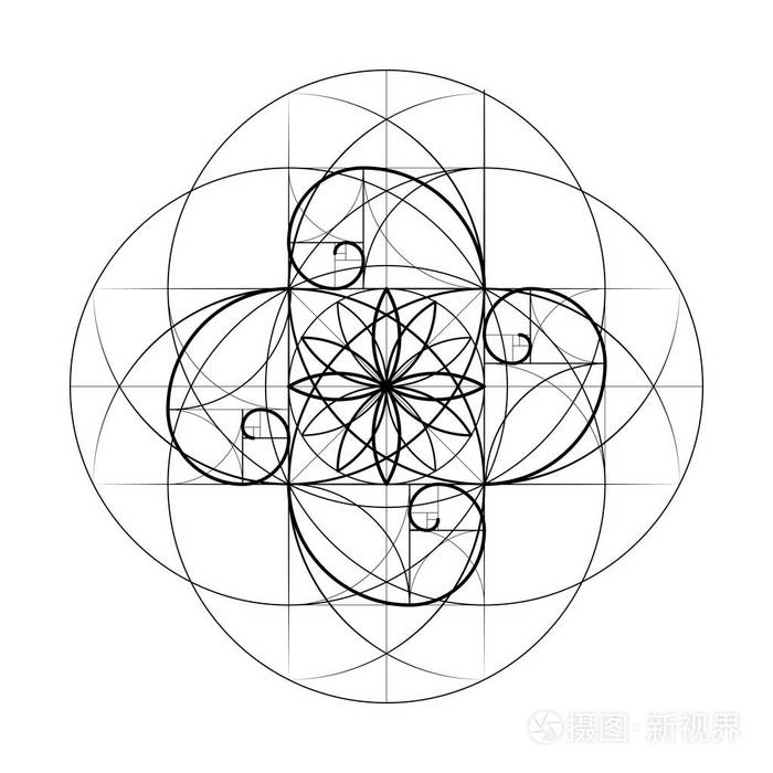 黄金地段神圣的几何学向量符号在交叉点的一些斐波那契线交叉线相交的