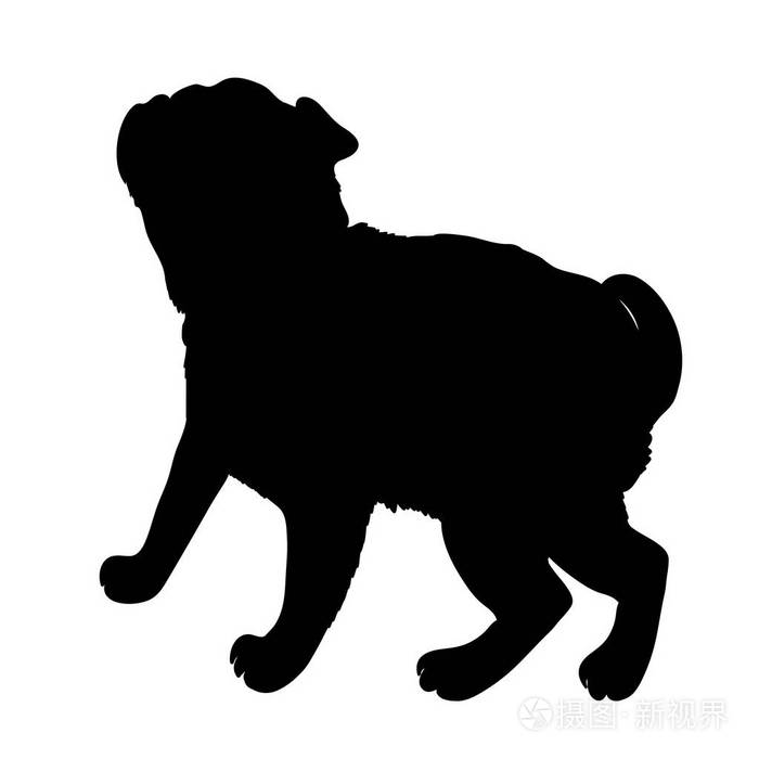 法国斗牛犬纯种狗站在侧面视图-矢量 silho插画-正版商用图片116h63