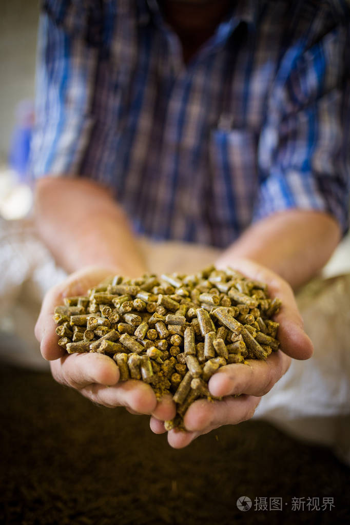 手捧动物饲料