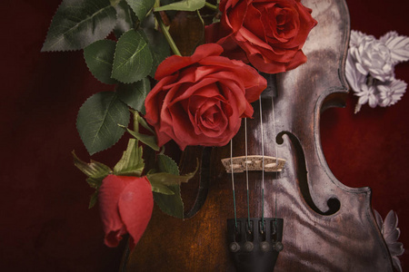 暗红色背景下的红玫瑰情人节小提琴