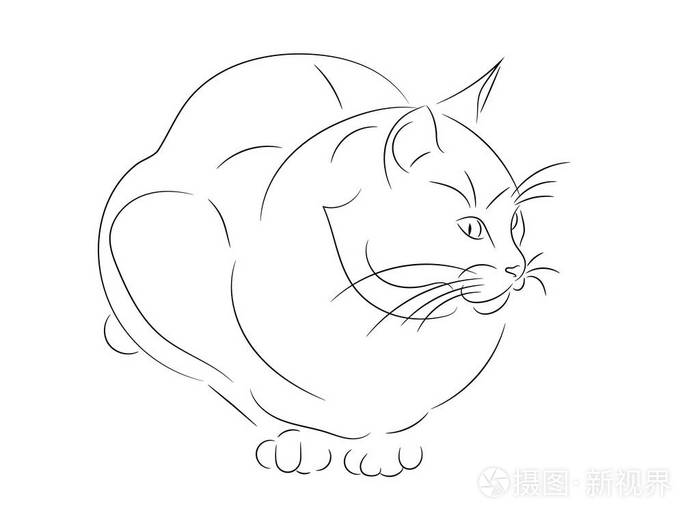 简单的素描猫坐和看向侧面,正面视图.