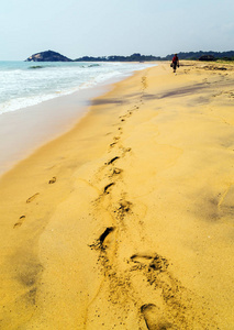 沙滩路沙丘沙滩路的脚印照片