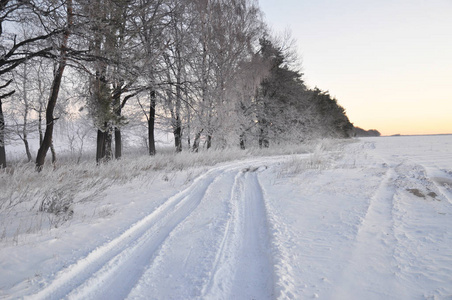 美丽的冬季道路景观。 冬季道路壁纸。 雪道路。