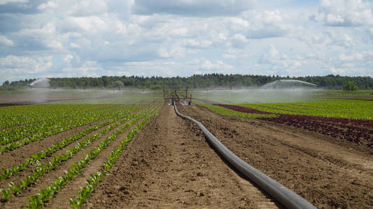 农田喷水农田灌溉系统照片