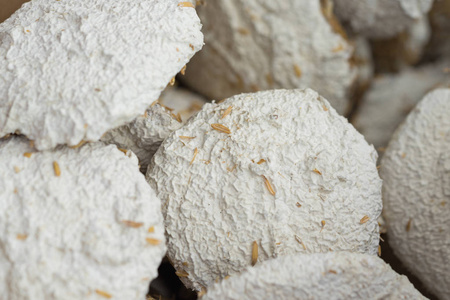 葡萄酒酵母图片