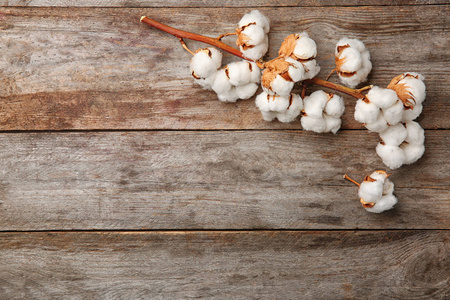 棉属gossypium木制背景上的棉花花照片