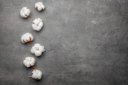 棉属gossypium灰色背景上的棉花花照片