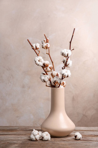 棉属gossypium桌子上花瓶里的棉花花照片