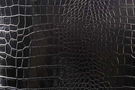 狩猎的对手图片-狩猎的对手素材-狩猎的对手插画-摄图新视界