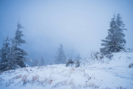 冬山白雪皑皑冬山冬景冬日冬远冬晨树在冬山中