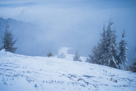 冬山白雪皑皑冬山冬景冬日冬远冬晨树在冬山中