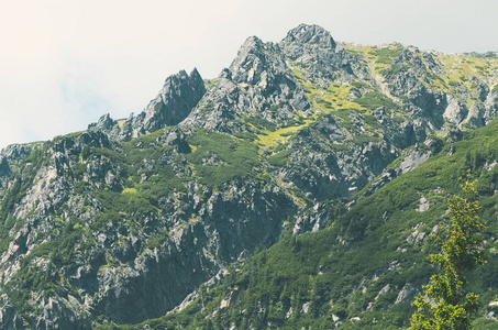 高山 Tatras