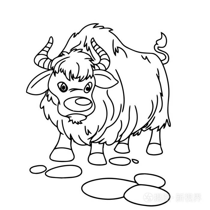 藏牦牛简笔画图片