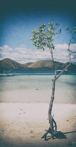 菲律宾岛上古老的肮脏，美丽的海岸线，树山和船，供游客游览