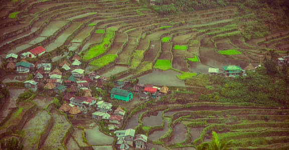 菲律宾梯田中的模糊现象，用于从巴诺联合国教科文组织现场进行水稻的库尔特