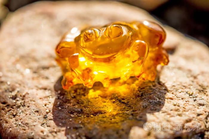 波罗的海海滩上的琥珀青蛙