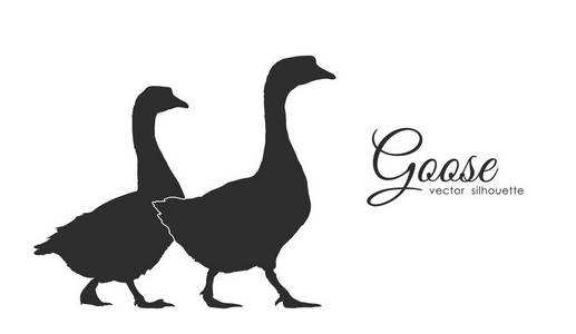 鹅的剪影图片-鹅的剪影素材-鹅的剪影插画-摄图新视界